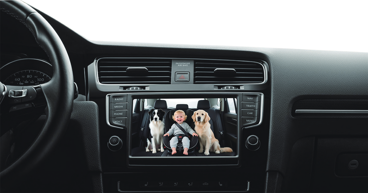 Back seat view shown on the car screen